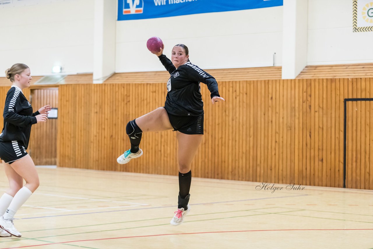 Bild 205 - wBJ TSV Ellerau - HSG Schue/We/Re : Ergebnis: 23:15